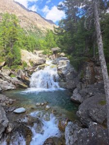 IMG-20240806-WA0073