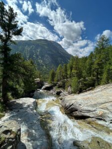 IMG-20240807-WA0005
