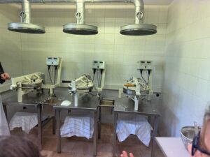 IMG-20250402-WA0024