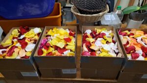 IMG-20250607-WA0009